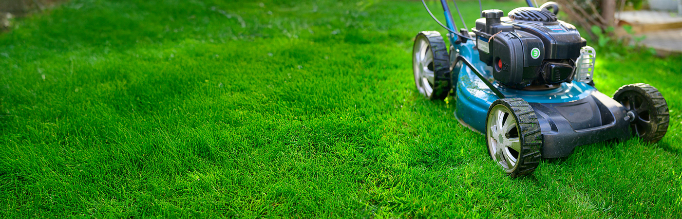 Spring Lawnmower Care